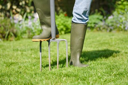 Lawn Aeration Thumbnail