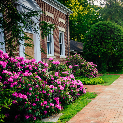 Landscaping Maintenance Banner Image